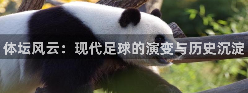 米兰体育官网下载招商:体坛风云:现代足球的演变与历史沉淀