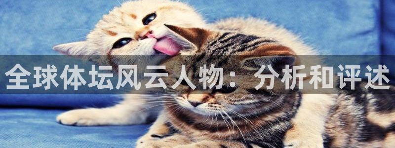 米兰体育官网下载是干嘛的公司:全球体坛风云人物:分析和评述