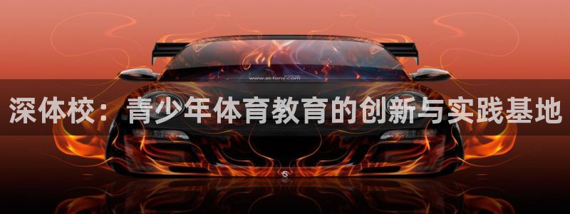 米兰体育官方正版app娱乐是那个系列的台子:深体校:青少年体