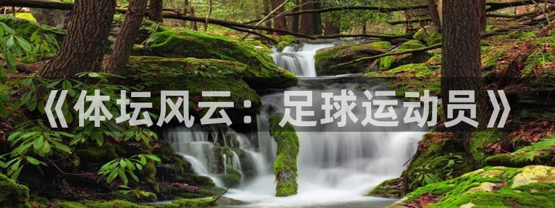 米兰体育官网下载平台注册要钱吗安全吗:《体坛风云:足球运动员